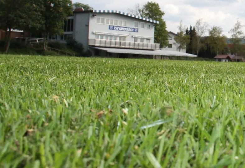 Grüne Wiese mit einem Fußballfeld, das im Hintergrund sichtbar ist.